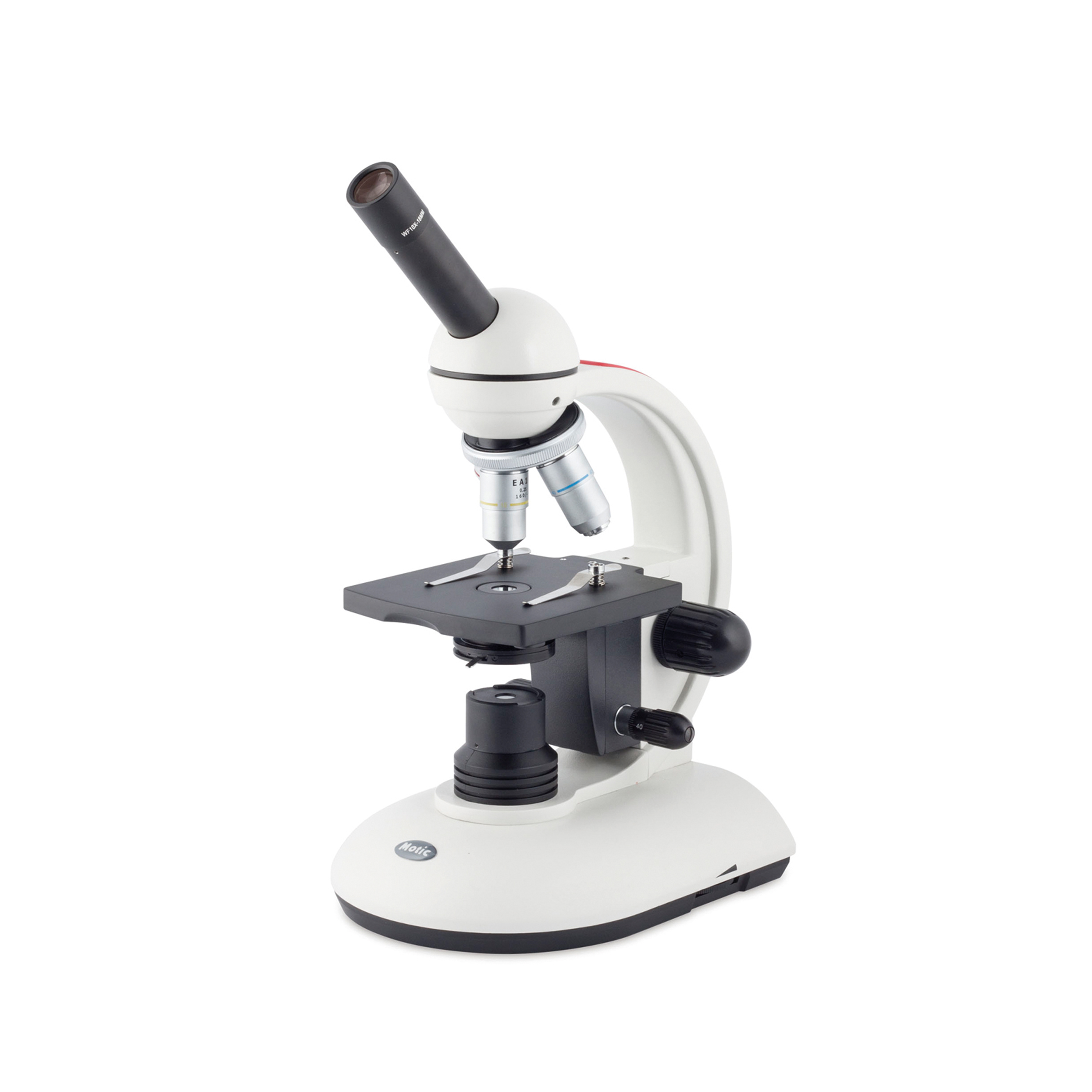 Neuheiten - Mikroskopie